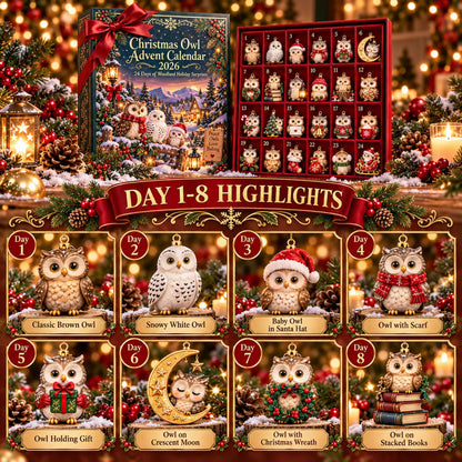 2026 Christmas Owl Advent Calendar – 24 Woodland Owl Ornaments